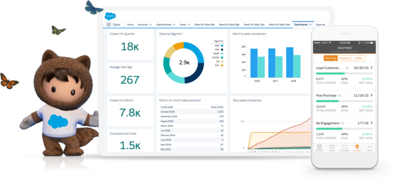 saleseforce platformas immagine rappresentaziva dei grafici